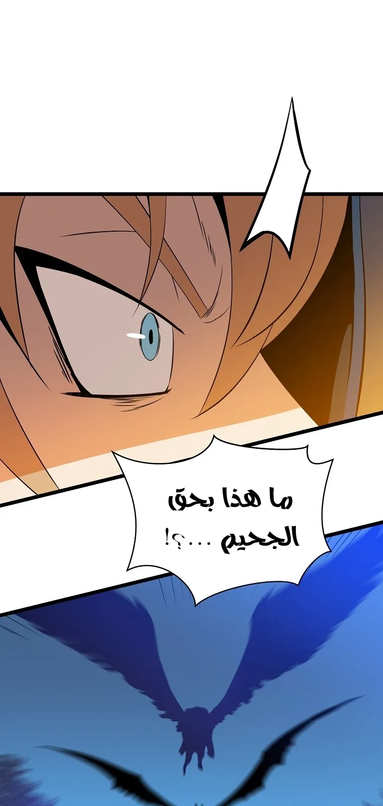 الصفحة 40 من 81
