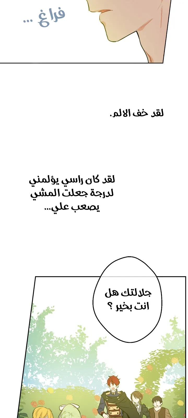 الصفحة 29 من 64