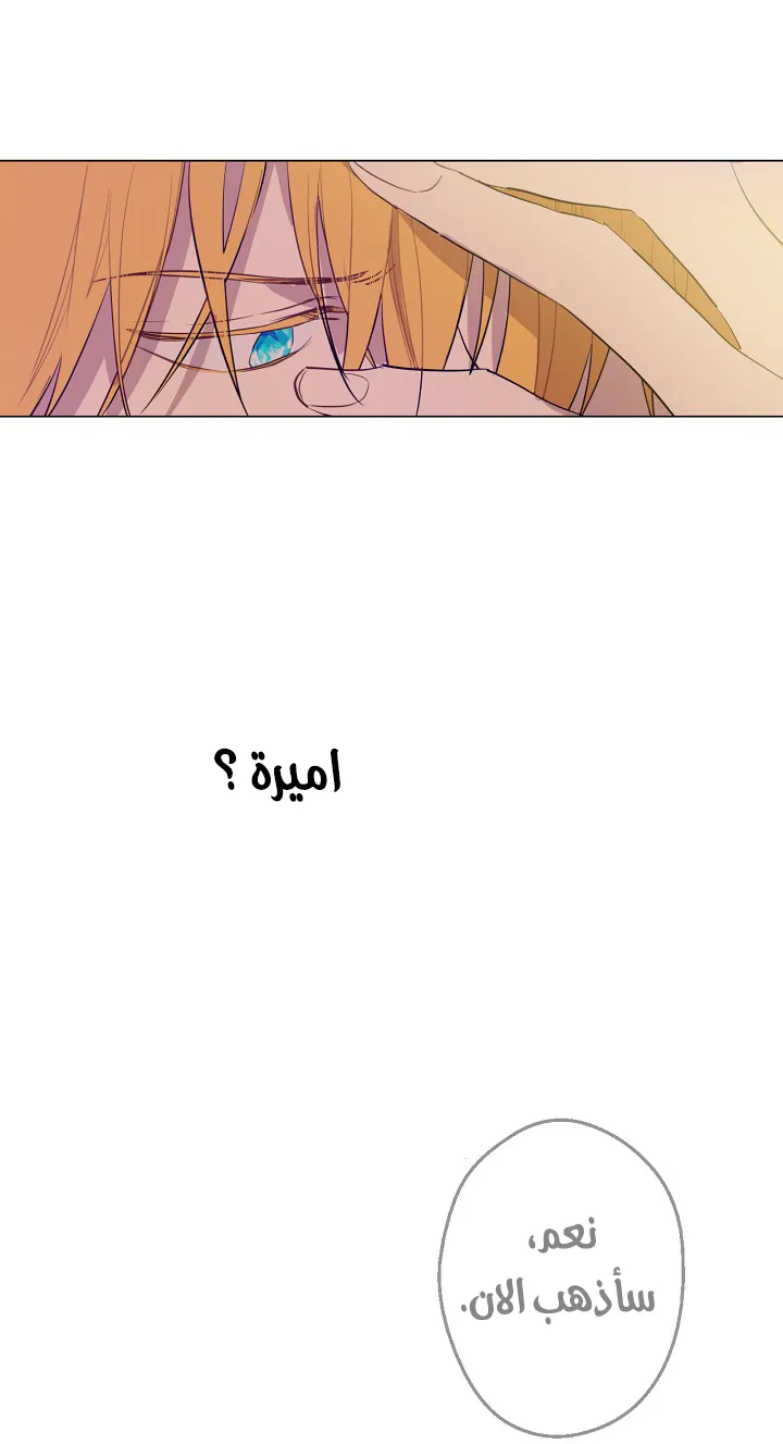 الصفحة 23 من 64