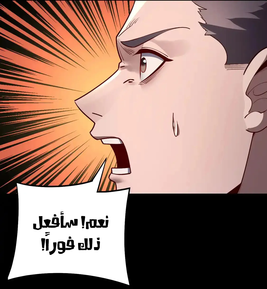 الصفحة 51 من 82