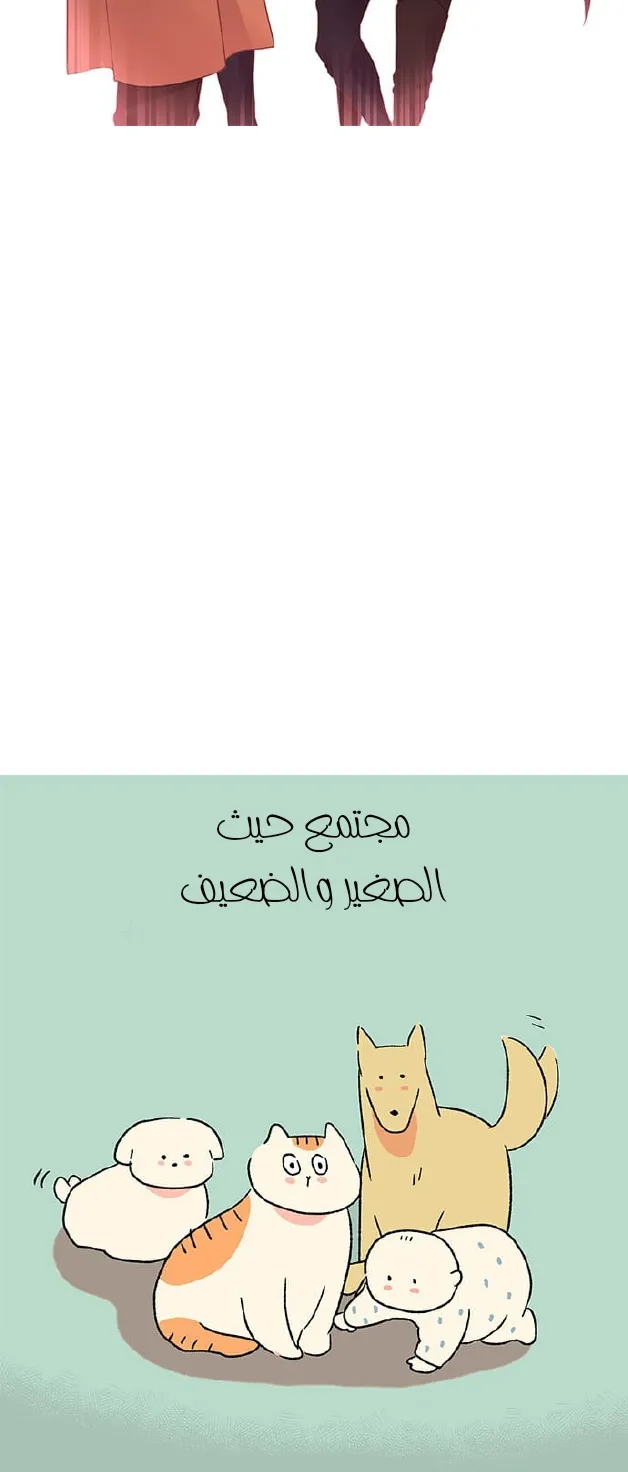 الصفحة 94 من 156