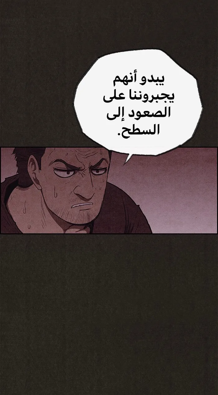 الصفحة 38 من 78