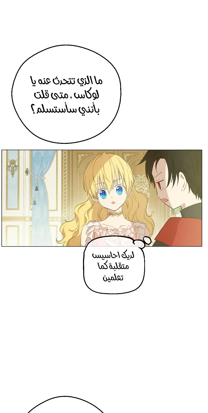 الصفحة 41 من 58