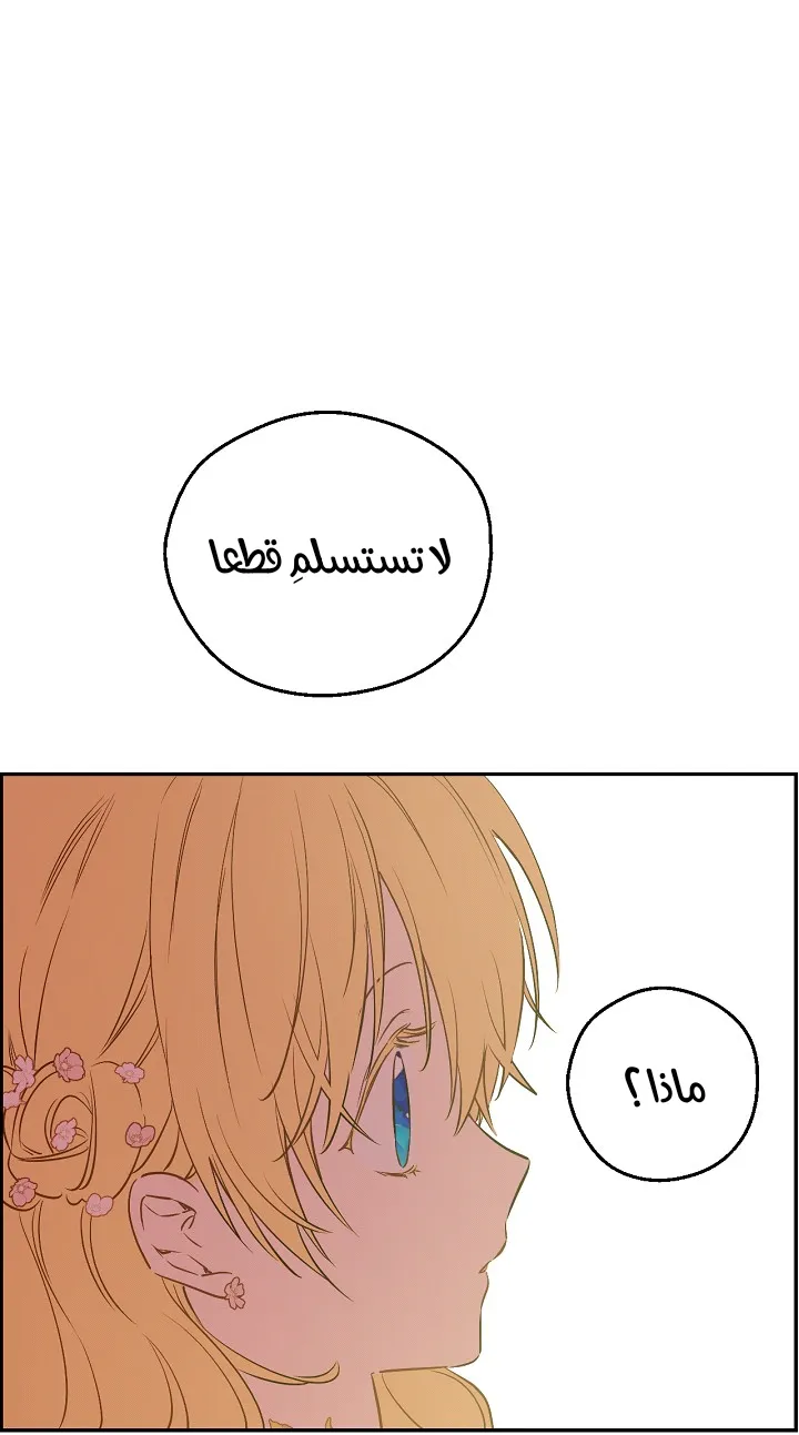 الصفحة 39 من 58