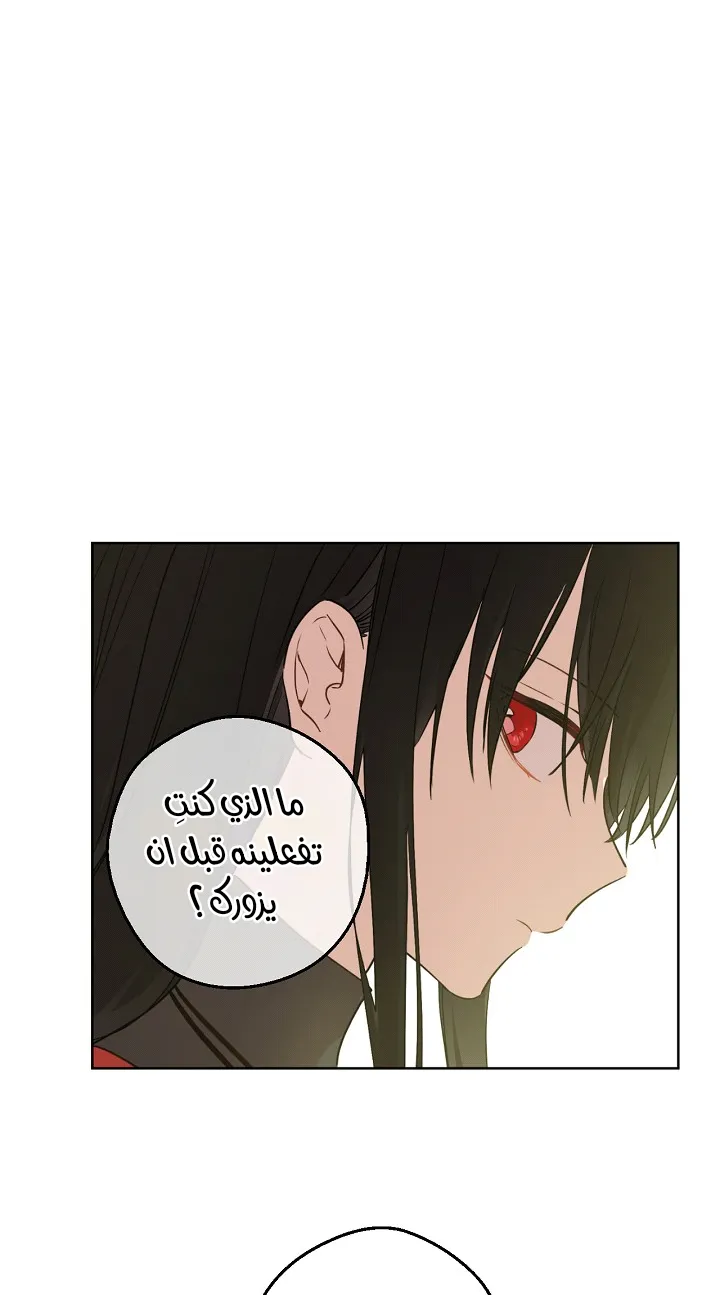 الصفحة 19 من 58