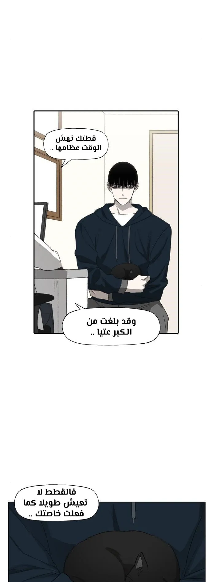 الصفحة 45 من 80