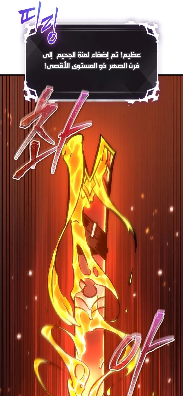 الصفحة 51 من 92