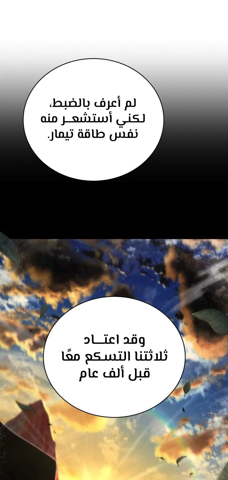 الصفحة 46 من 100