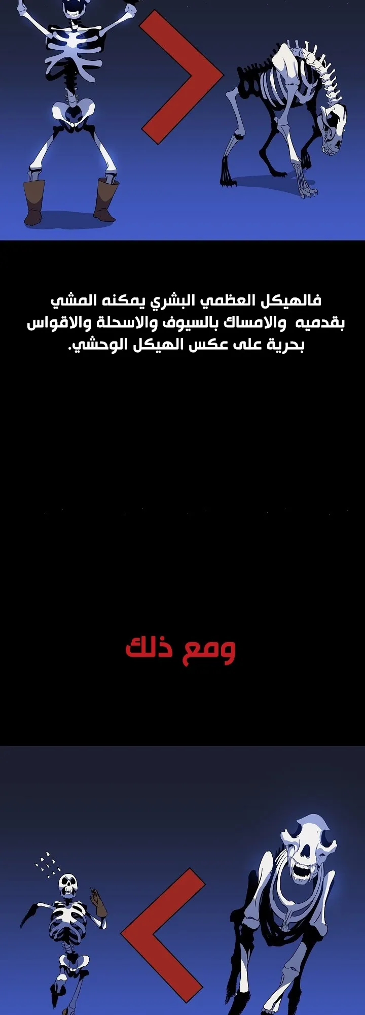 الصفحة 16 من 60