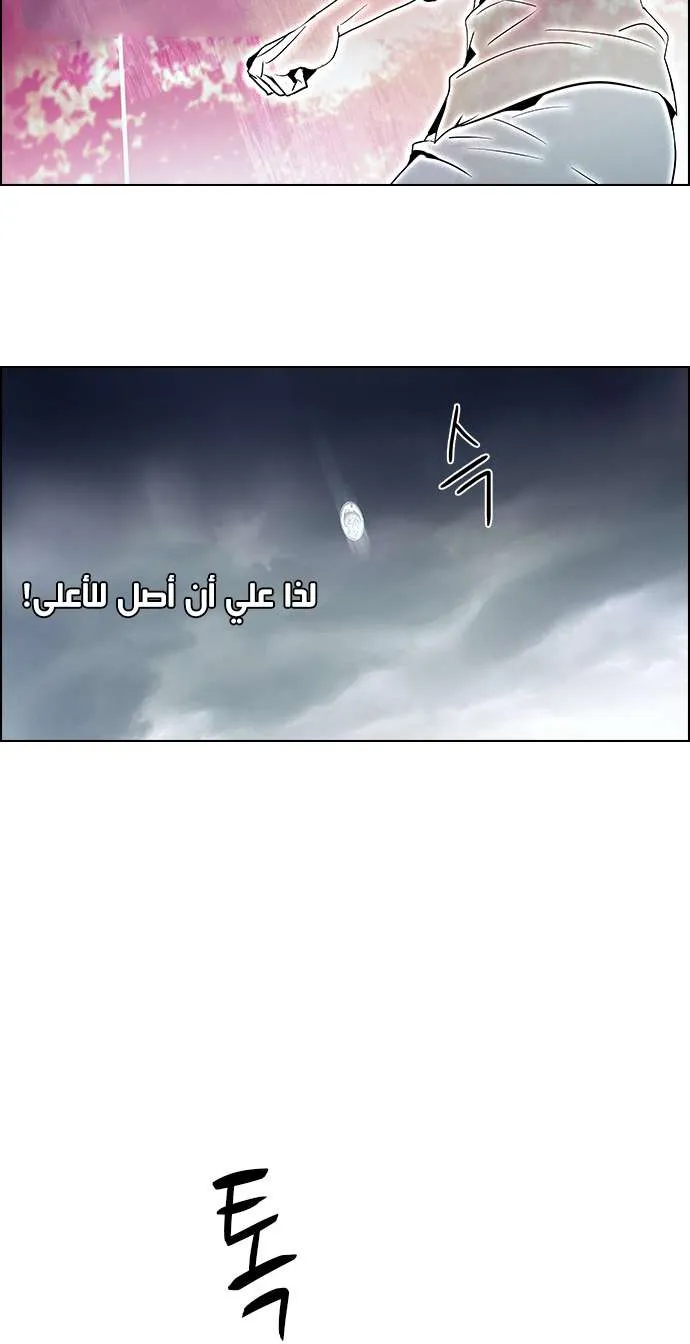 الصفحة 16 من 49