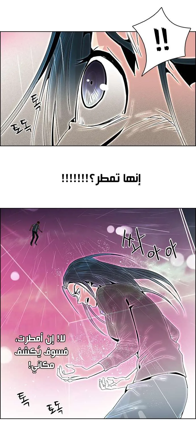 الصفحة 19 من 49