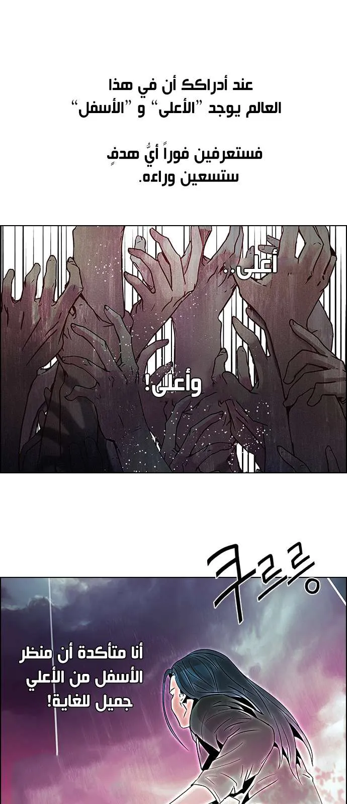 الصفحة 15 من 49