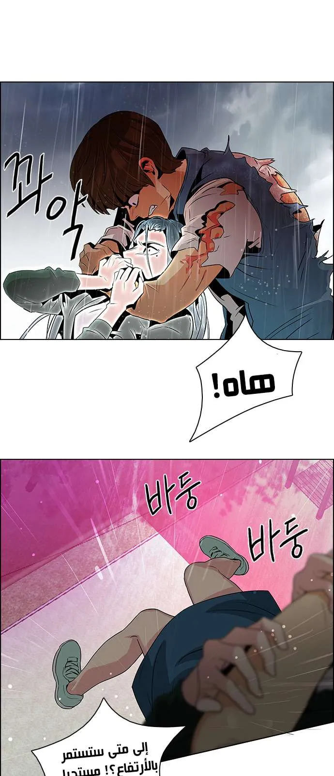 الصفحة 30 من 49