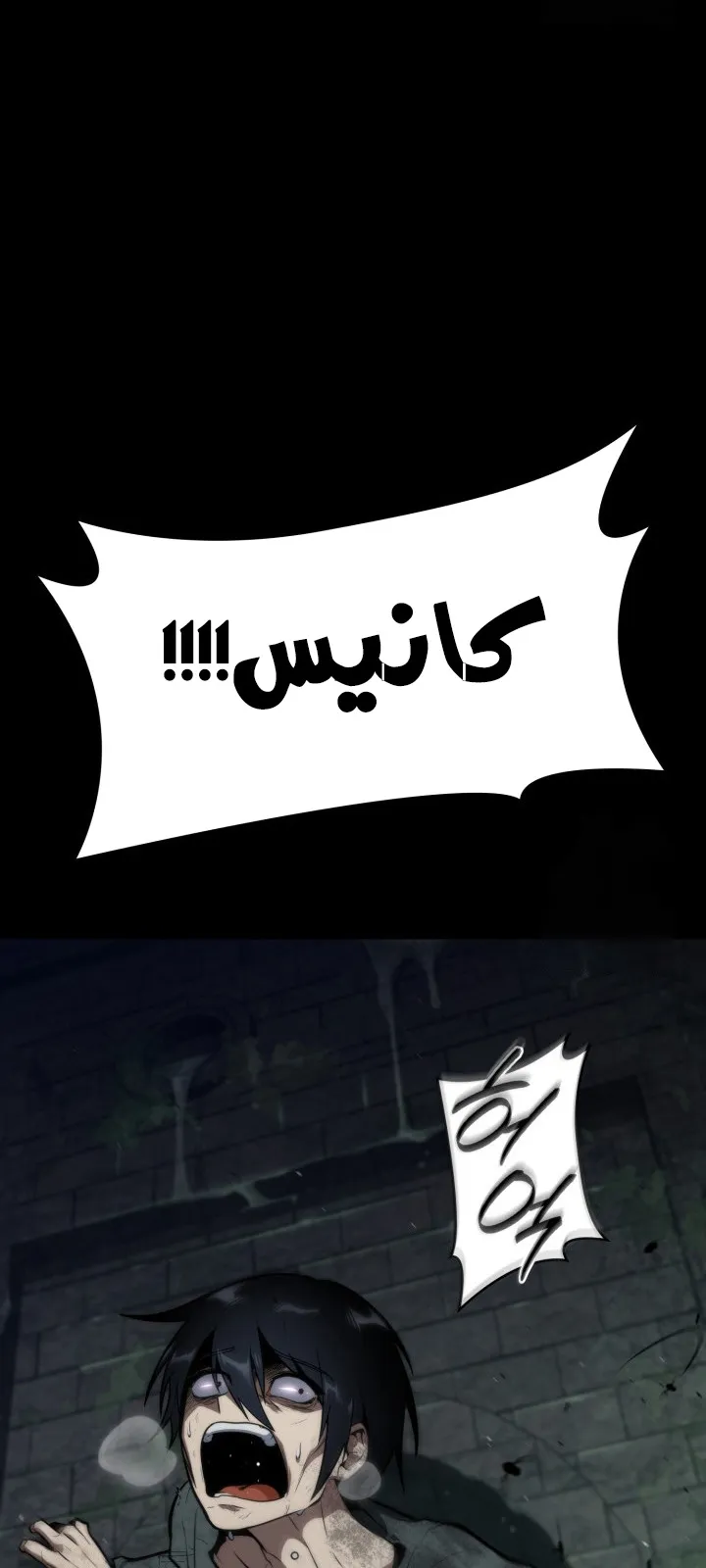 الصفحة 101 من 144