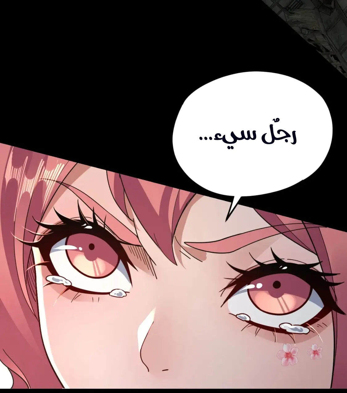 الصفحة 28 من 81