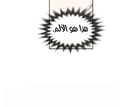 الصفحة 31 من 75
