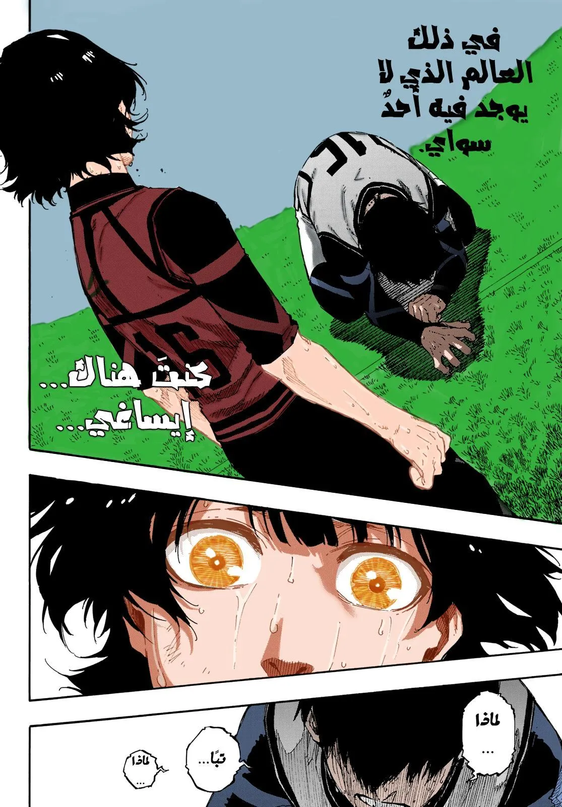 الصفحة 17 من 23