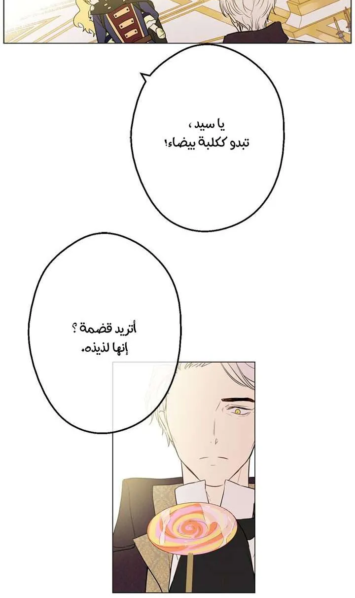 الصفحة 51 من 59