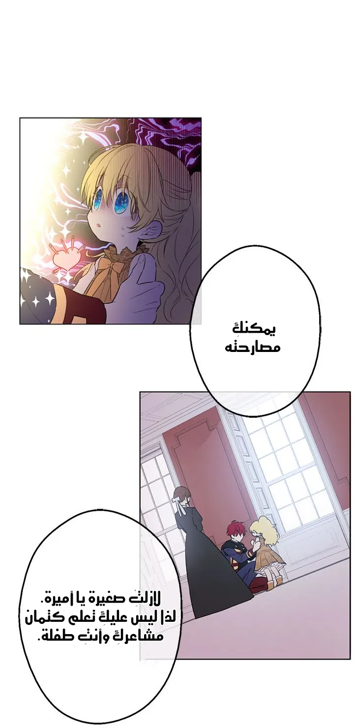 الصفحة 27 من 59