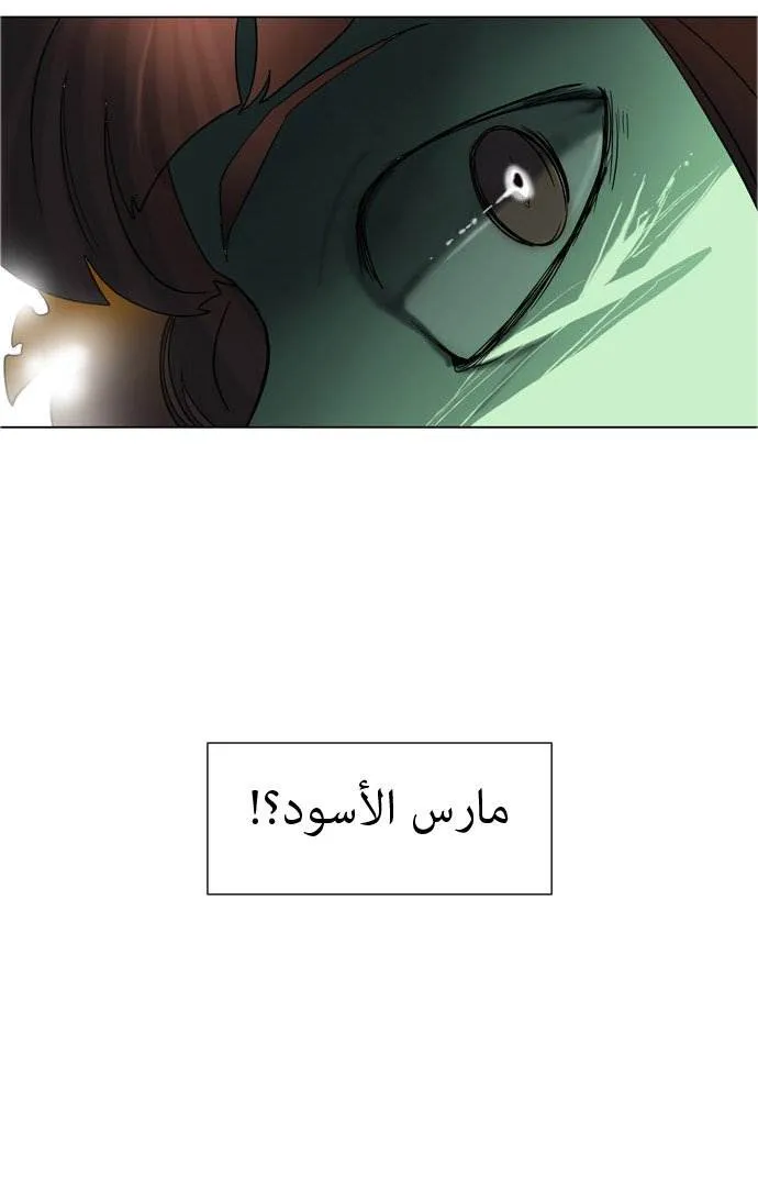 الصفحة 19 من 40