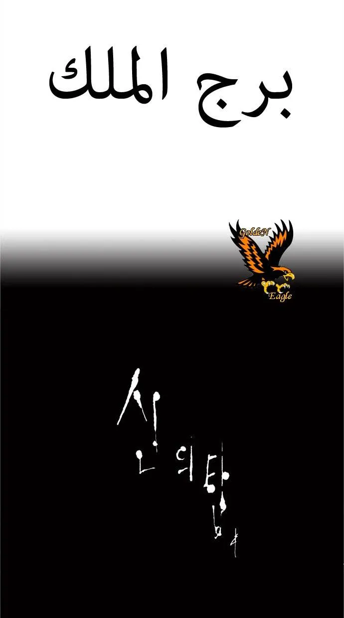 الصفحة 38 من 40