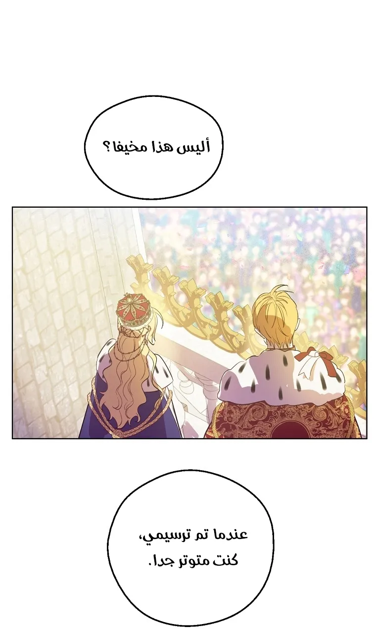 الصفحة 41 من 58