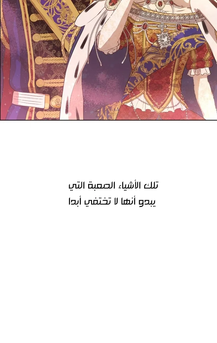 الصفحة 49 من 58