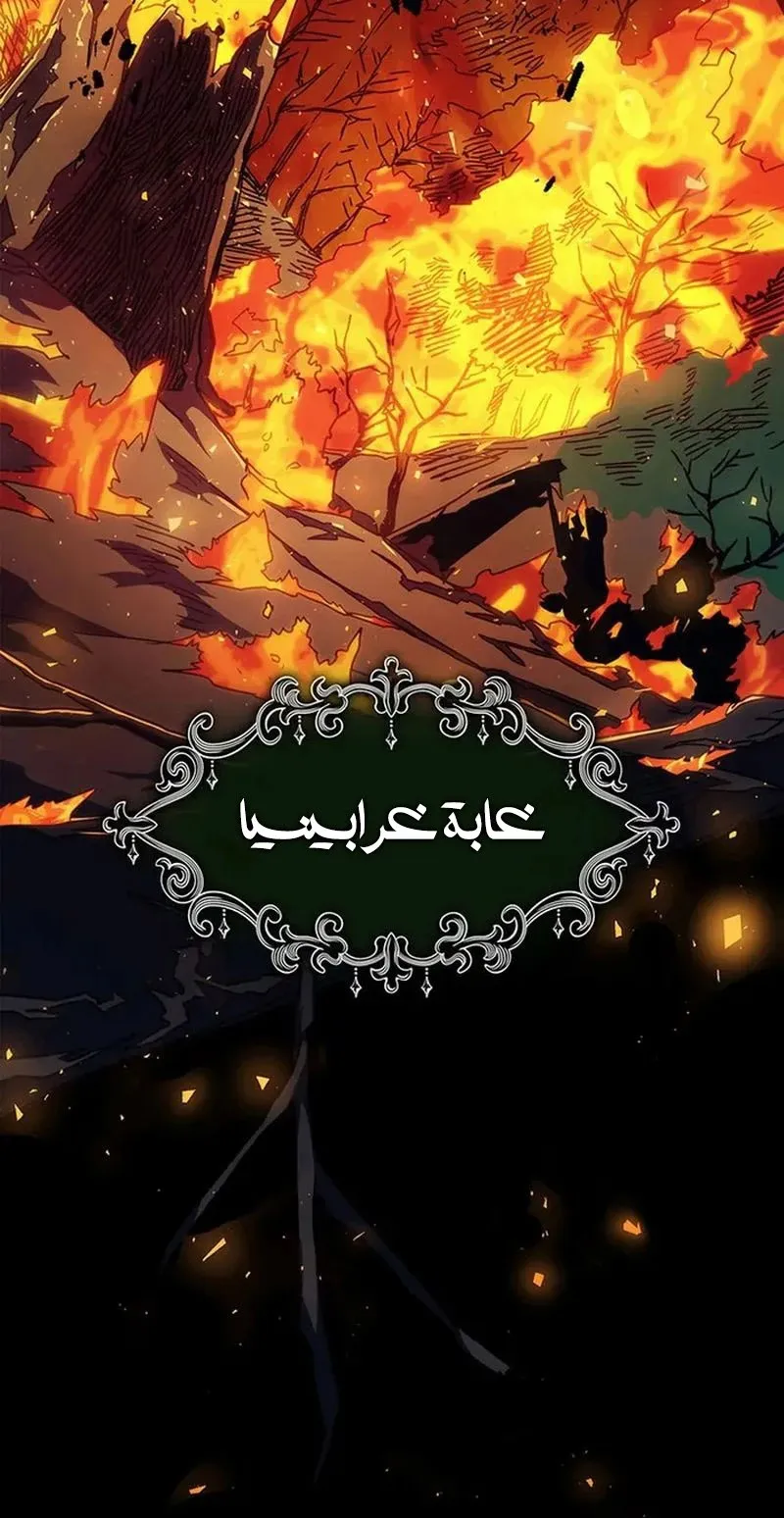 الصفحة 3 من 96