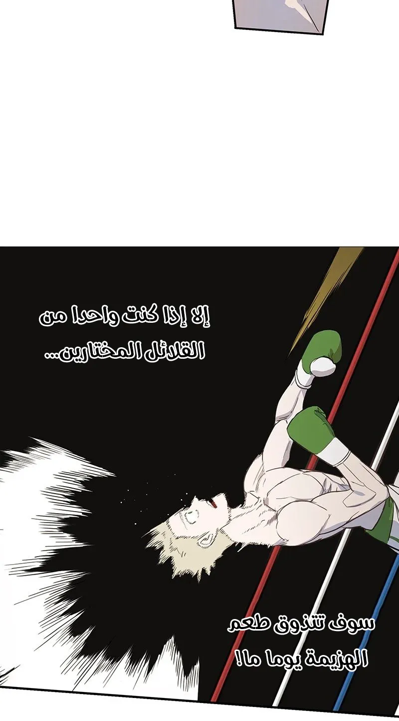 الصفحة 64 من 103