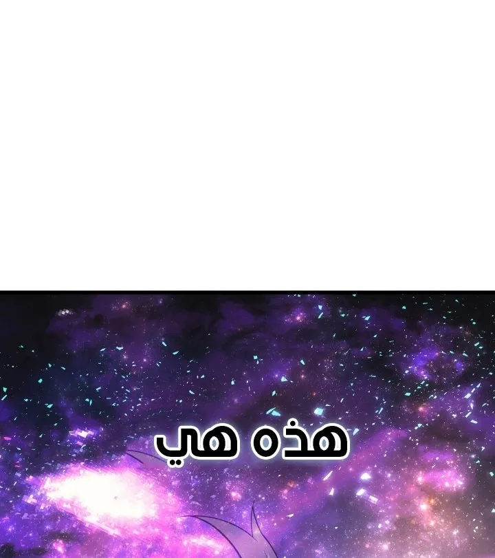 الصفحة 48 من 64