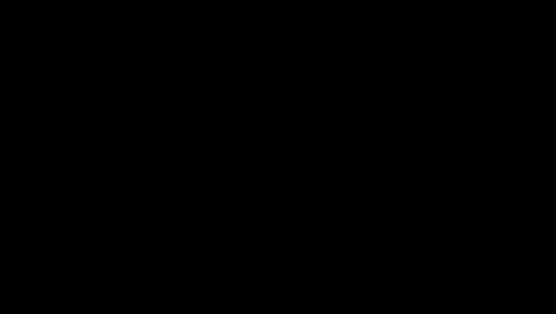 الصفحة 46 من 89