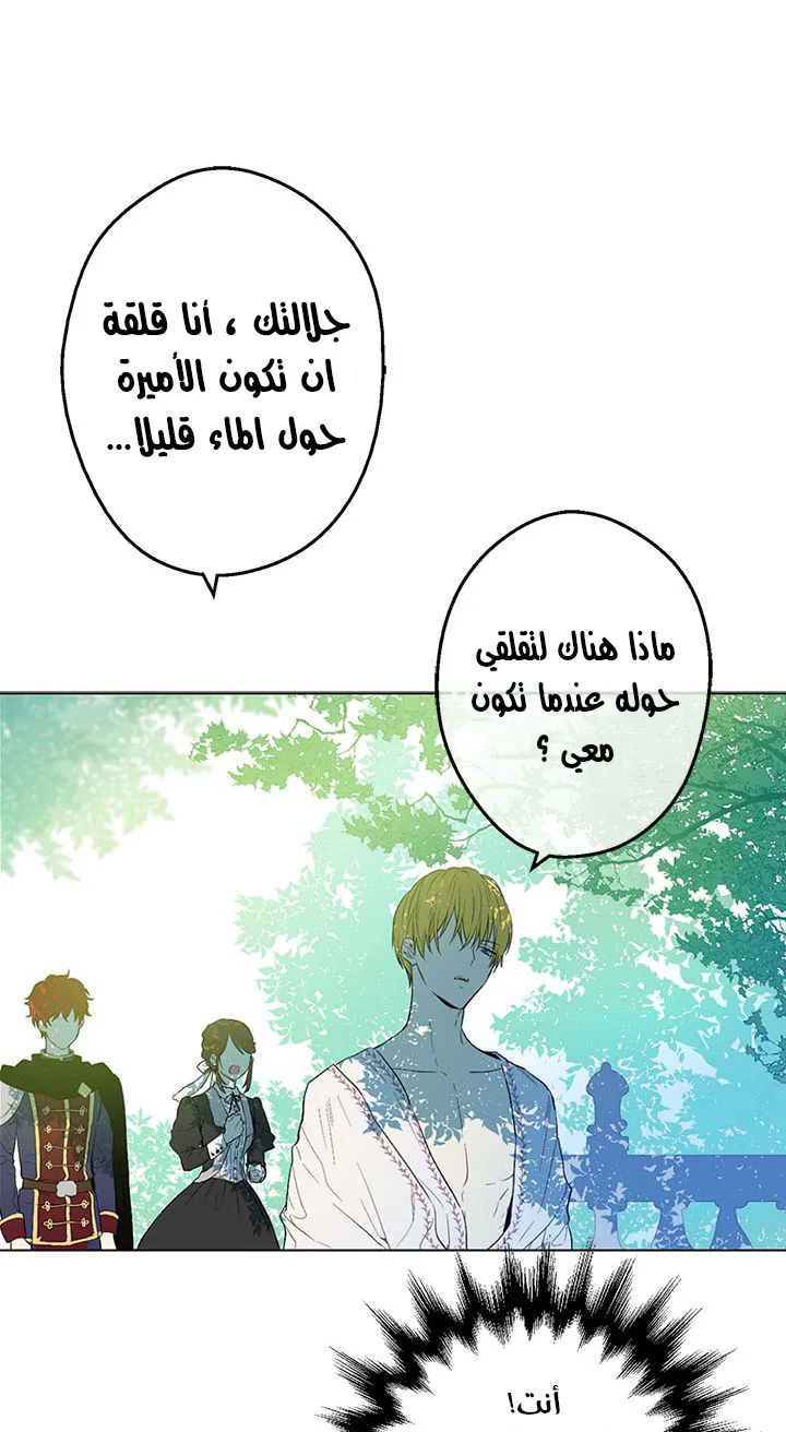 الصفحة 25 من 46