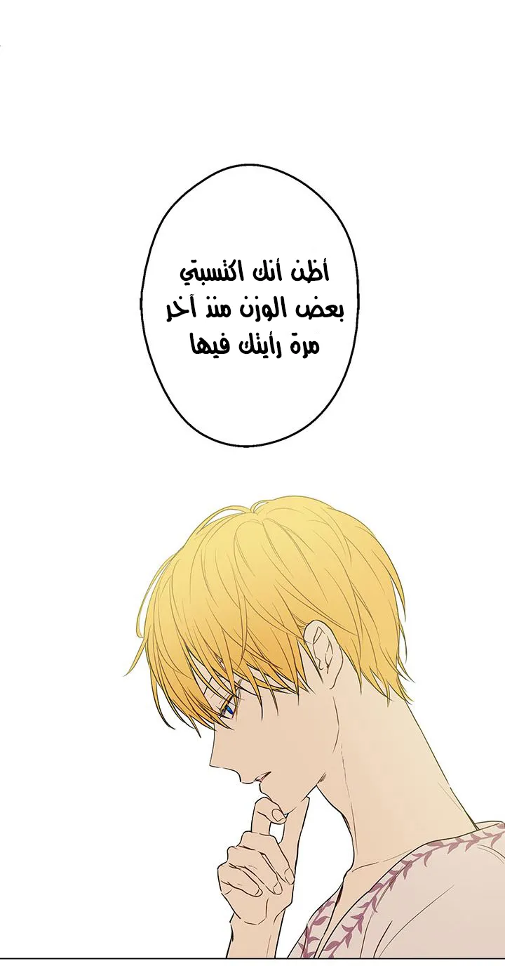 الصفحة 15 من 46