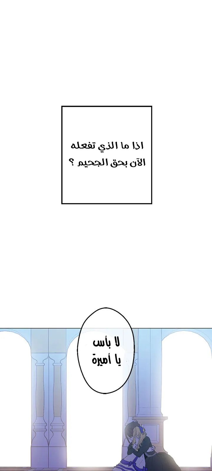 الصفحة 12 من 46