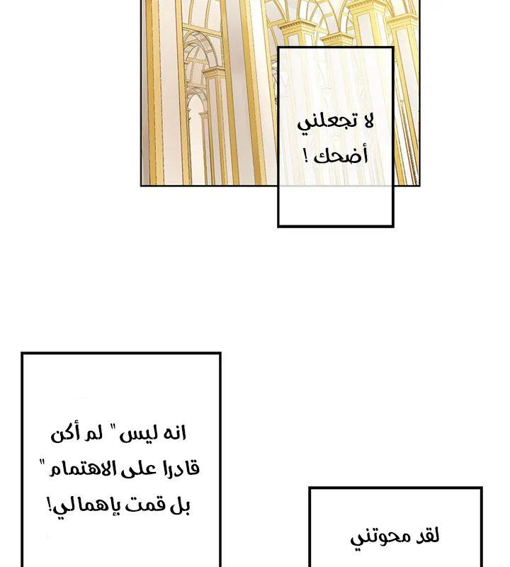 الصفحة 4 من 46