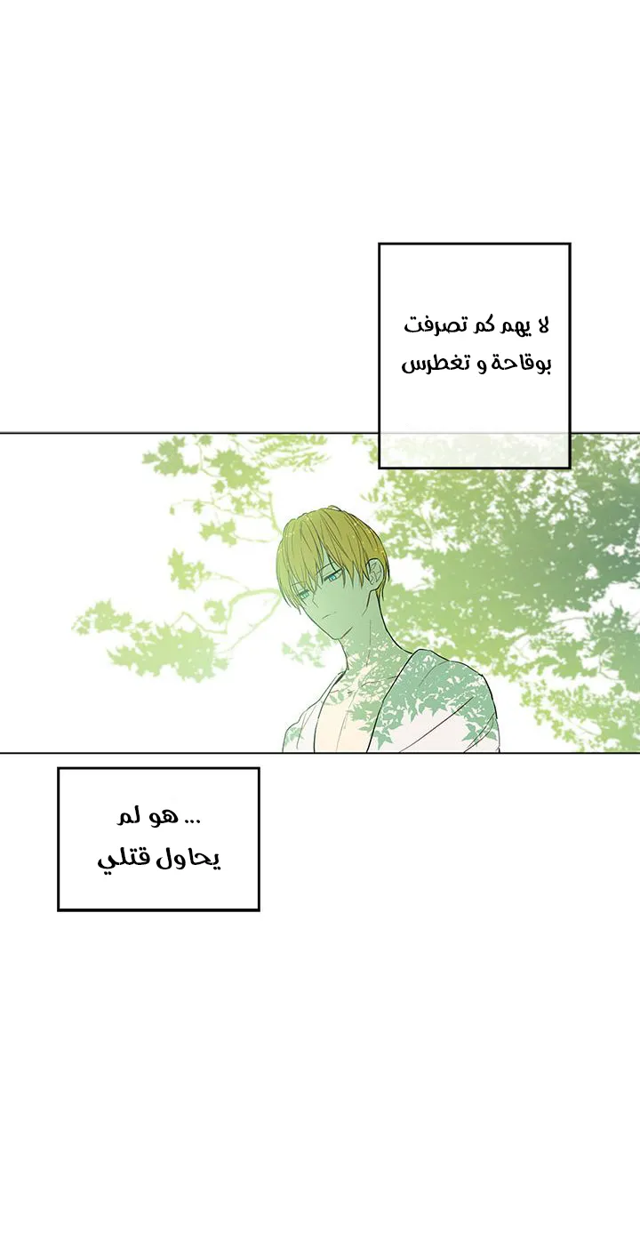 الصفحة 19 من 46