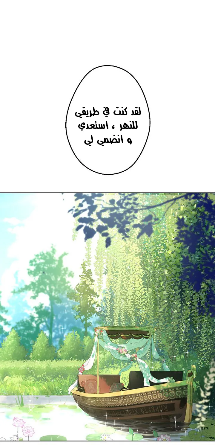 الصفحة 24 من 46