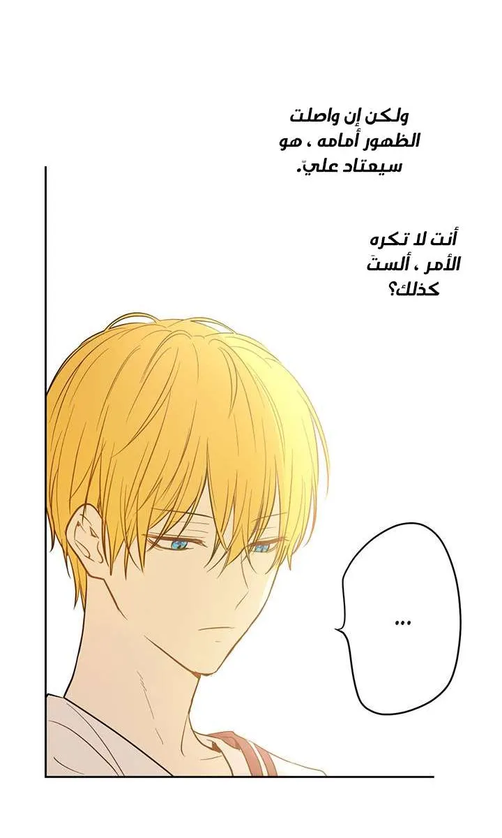الصفحة 37 من 77