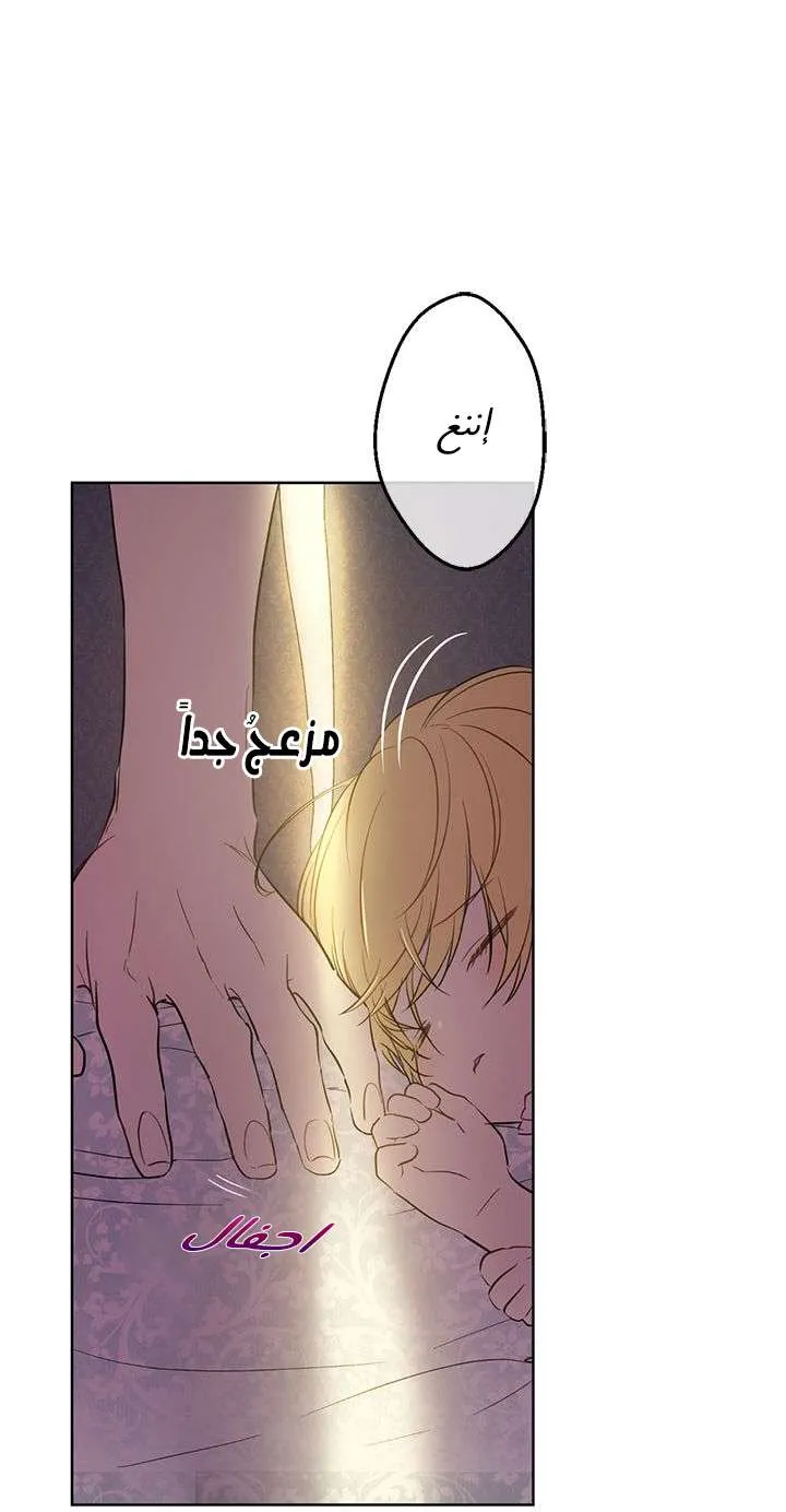 الصفحة 18 من 77