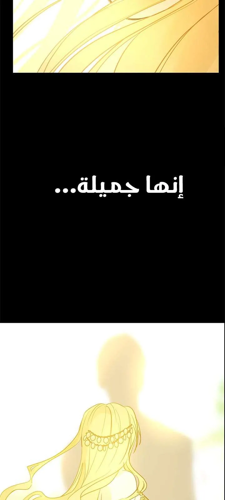 الصفحة 11 من 77