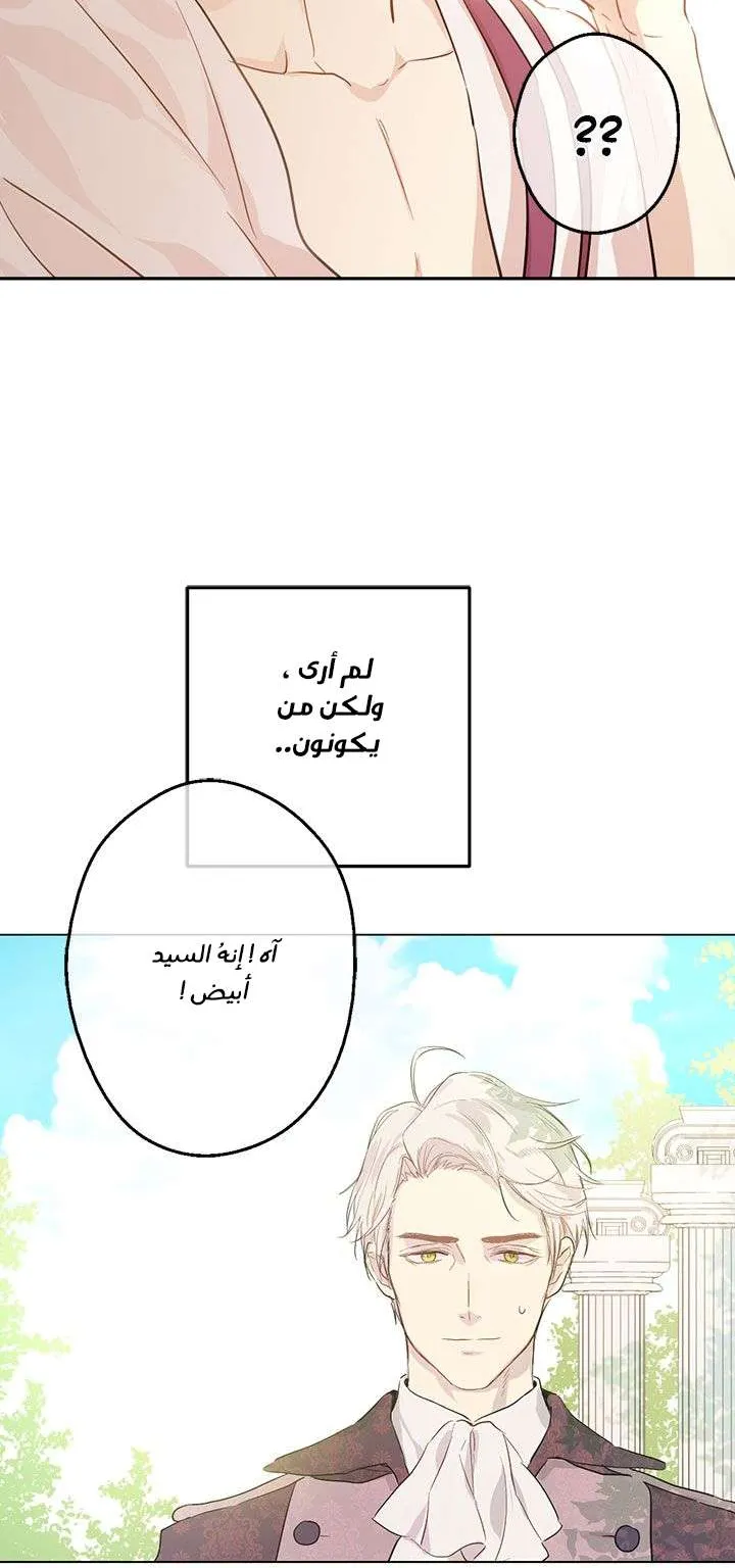 الصفحة 44 من 77