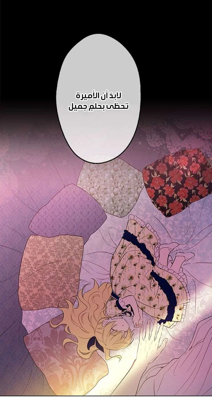 الصفحة 15 من 77