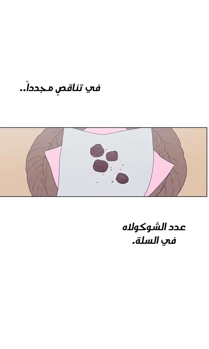 الصفحة 28 من 77