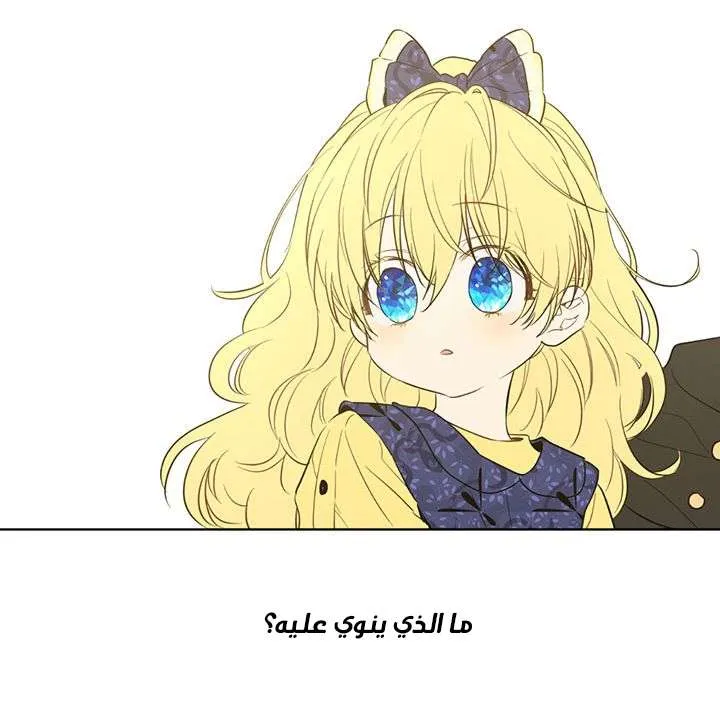 الصفحة 48 من 77
