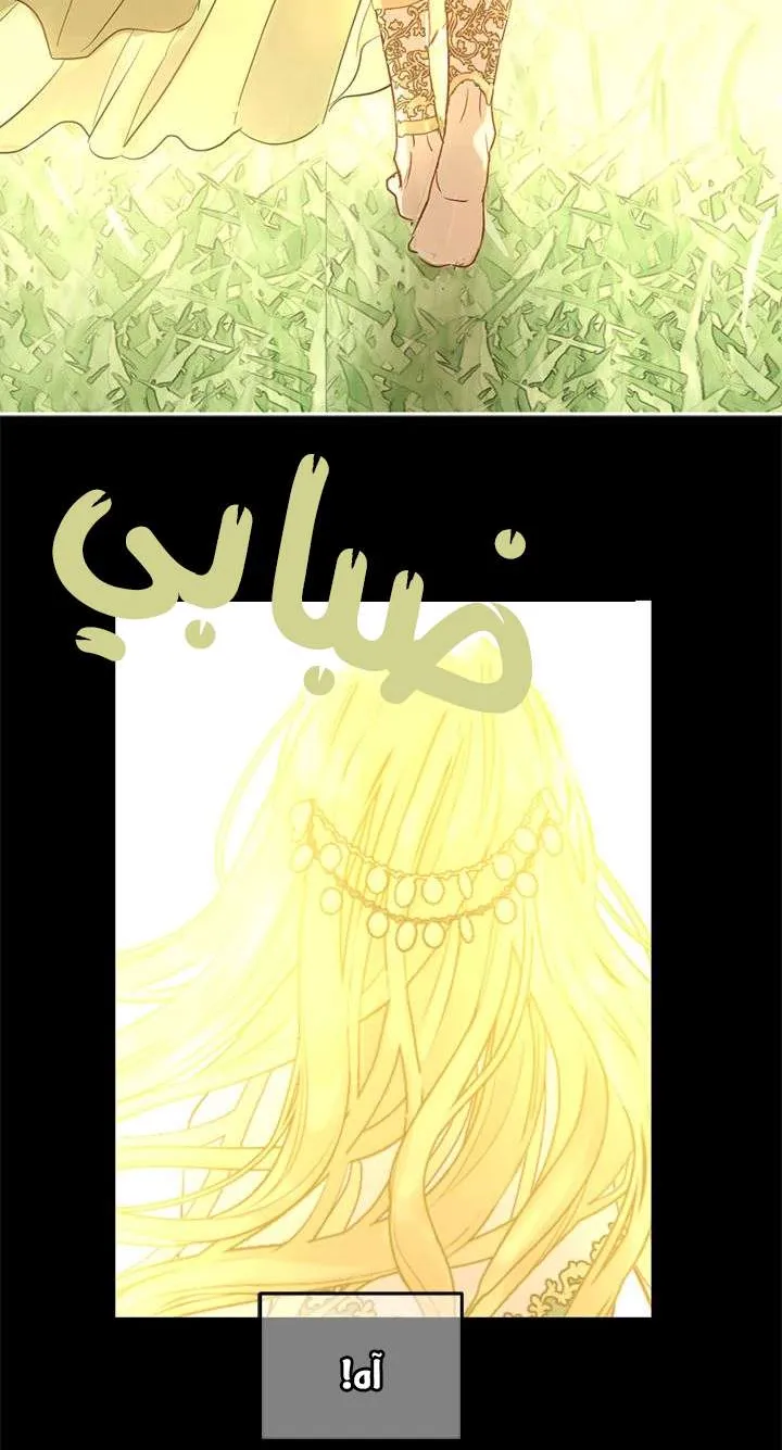 الصفحة 6 من 77