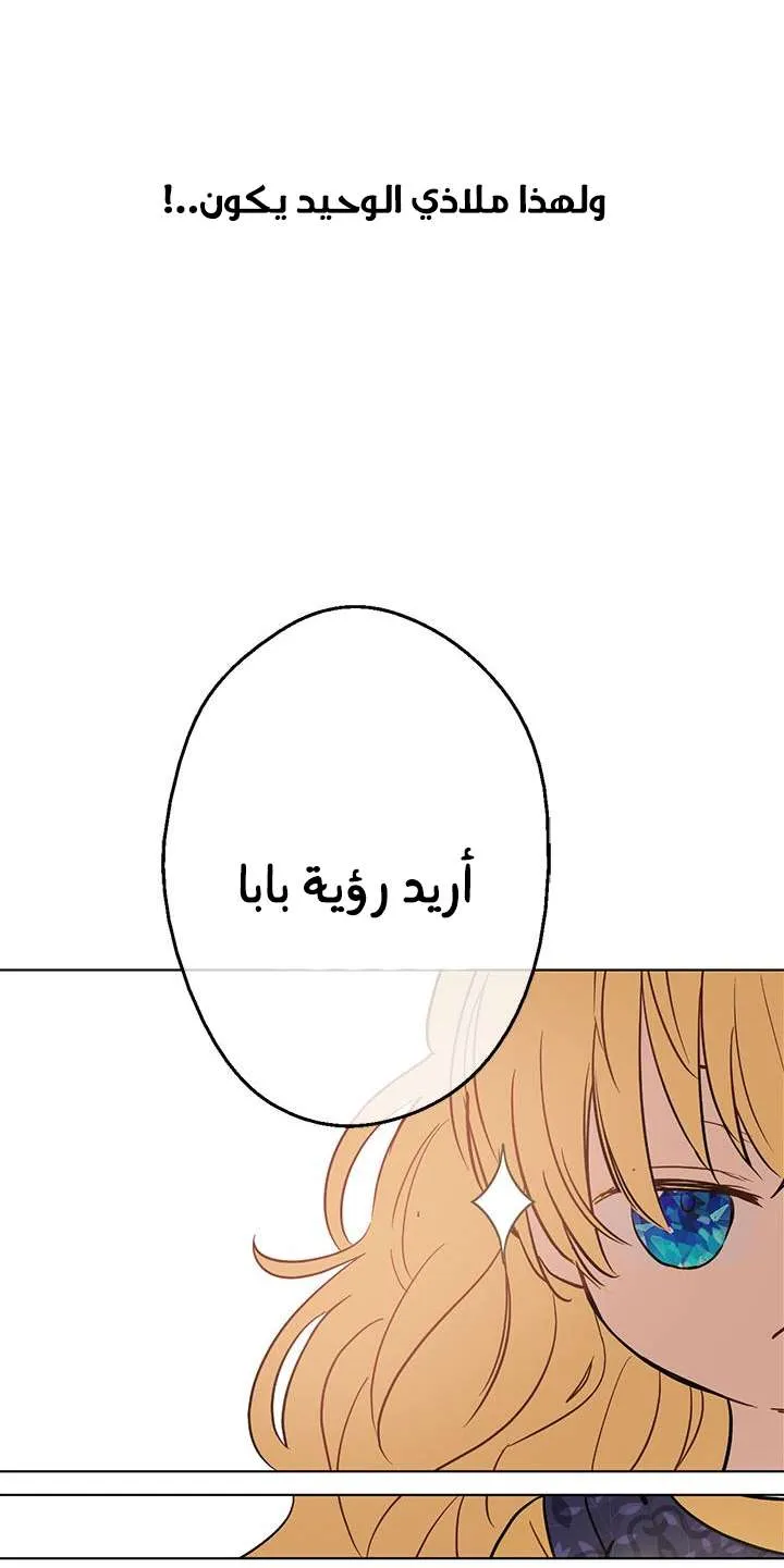 الصفحة 31 من 77