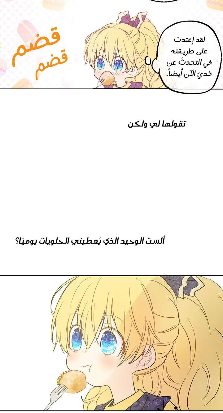 الصفحة 41 من 77