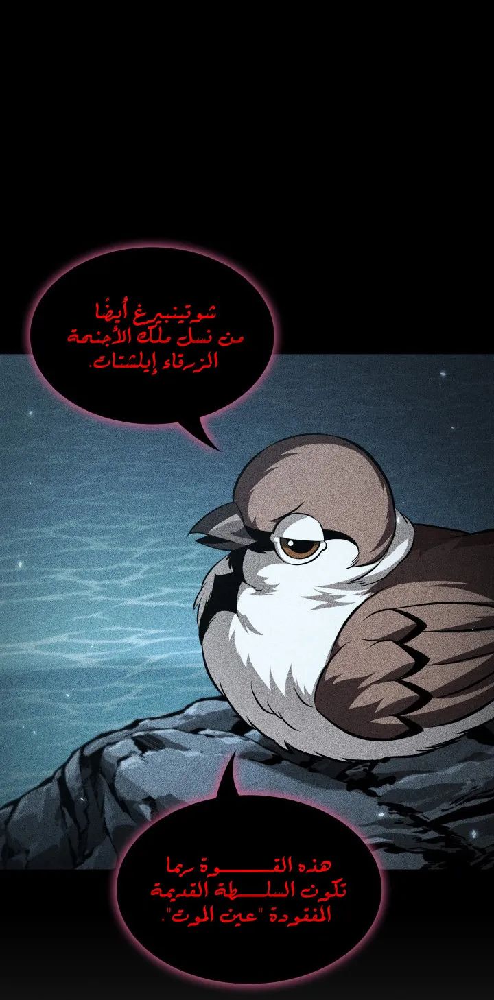 الصفحة 24 من 91