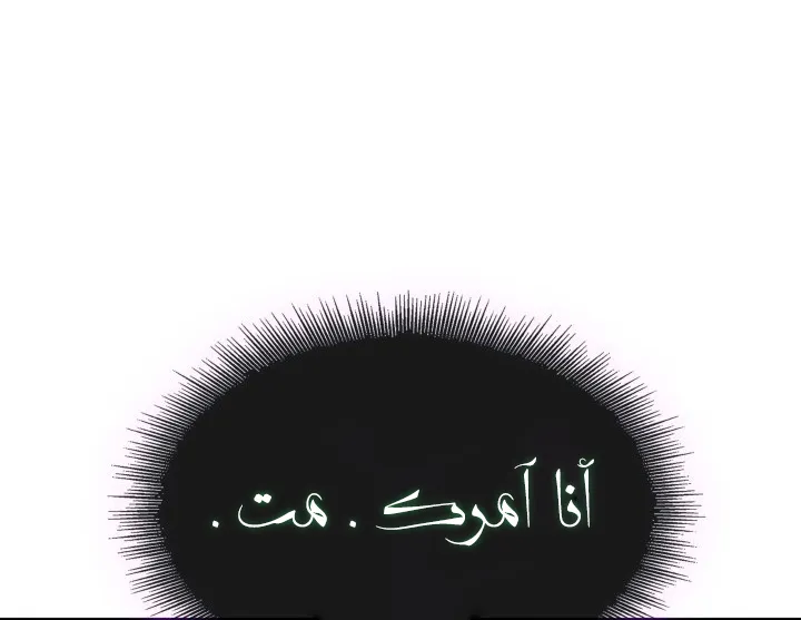 الصفحة 19 من 91