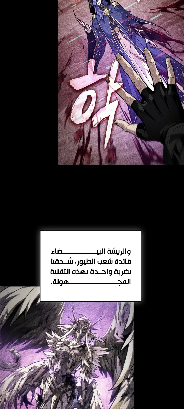 الصفحة 22 من 91